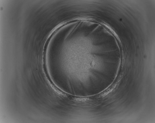 X0000086290853200704090954