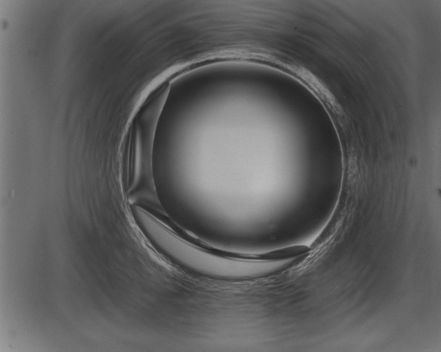 X0000086290854200704090954