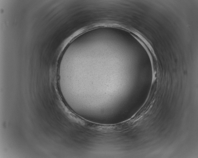 X0000086290861200704090954