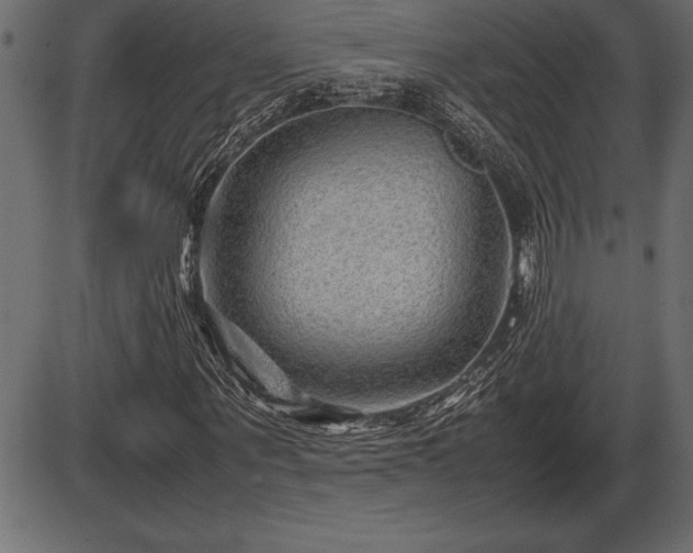 X0000086290867200704090953