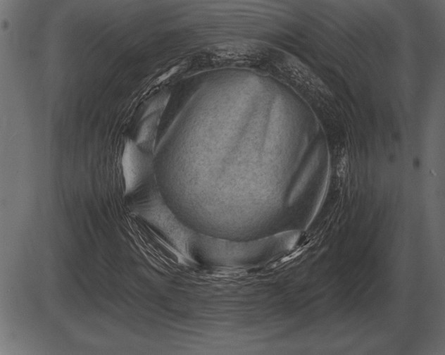 X0000086290868200704090953