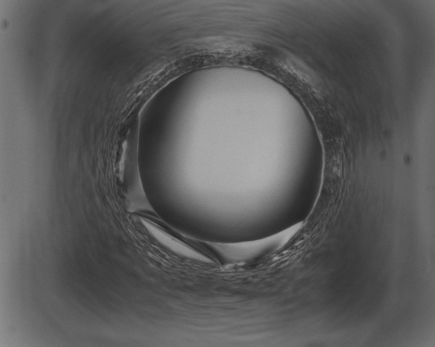 X0000086290869200704090953