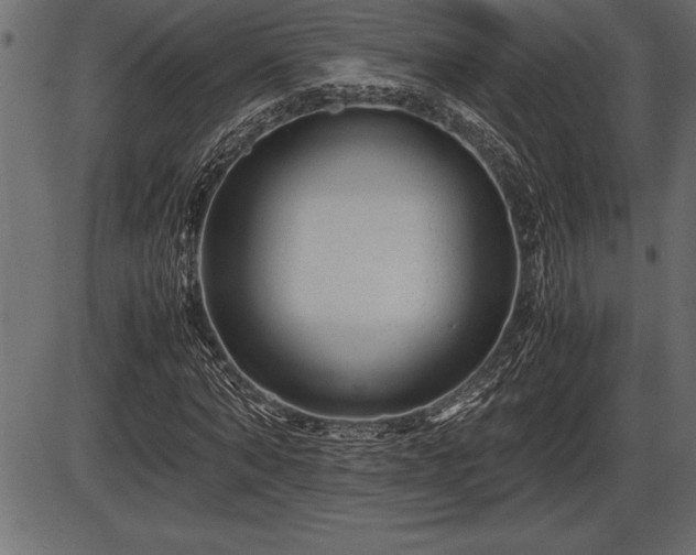 X0000086290870200704090953