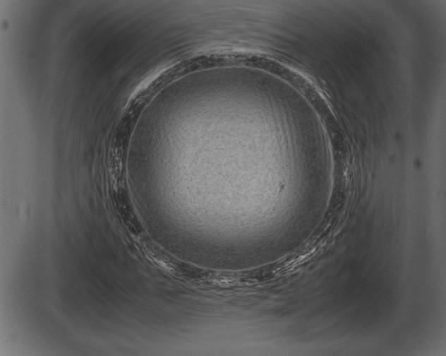 X0000086290871200704090953