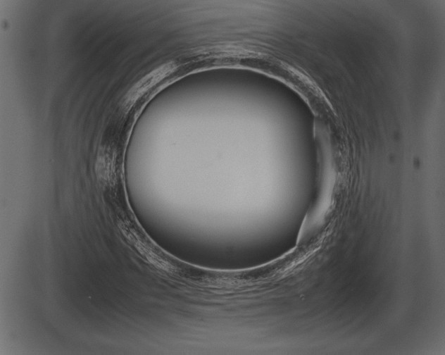 X0000086290873200704090953