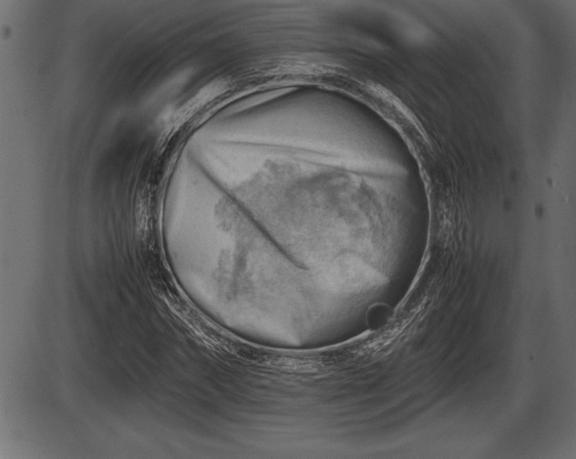 X0000086290874200704090953