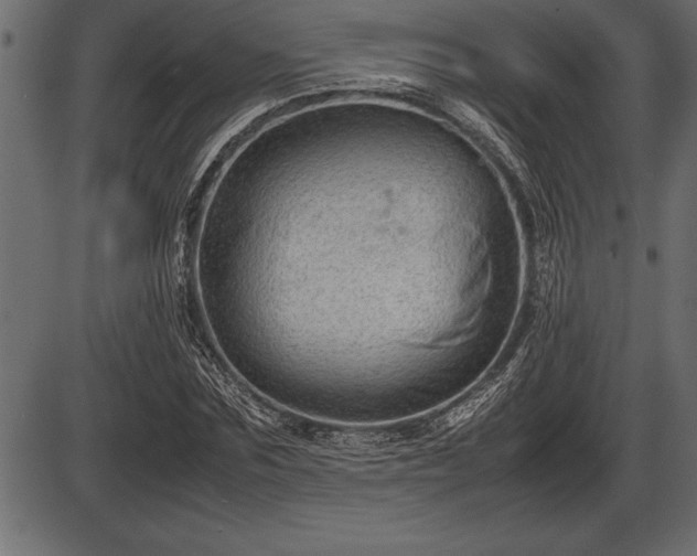 X0000086290875200704090953