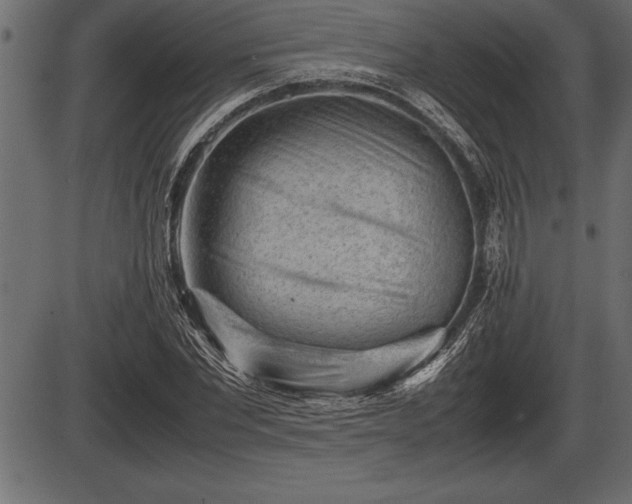 X0000086290877200704090953
