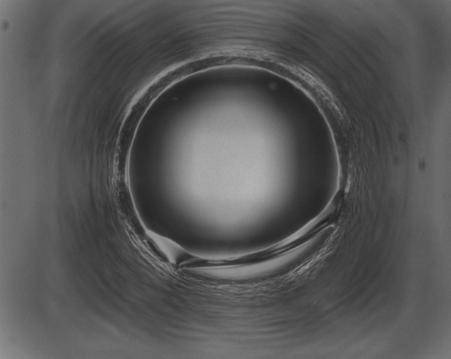 X0000086290880200704090953