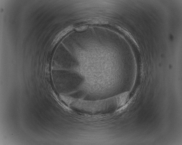 X0000086290881200704090953