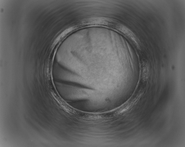 X0000086290882200704090953