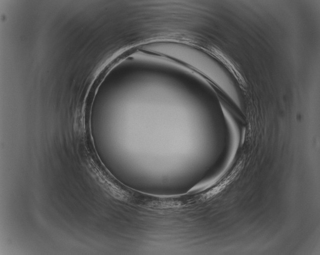 X0000086290884200704090953