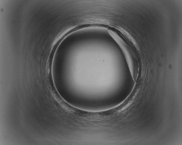 X0000086290885200704090953