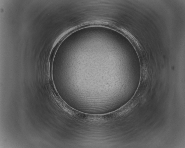X0000086290886200704090953