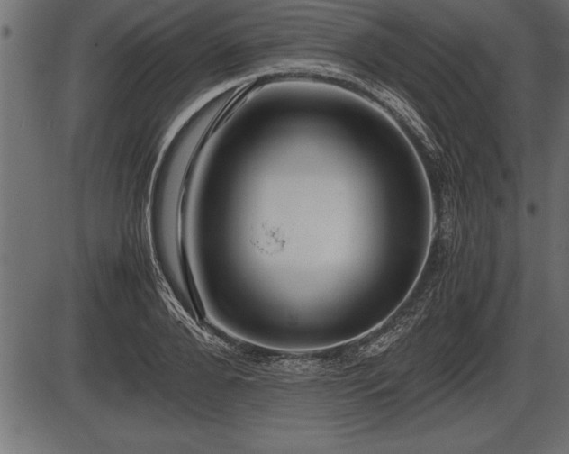 X0000086290888200704090953