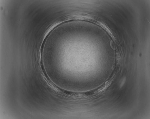 X0000086290891200704090952
