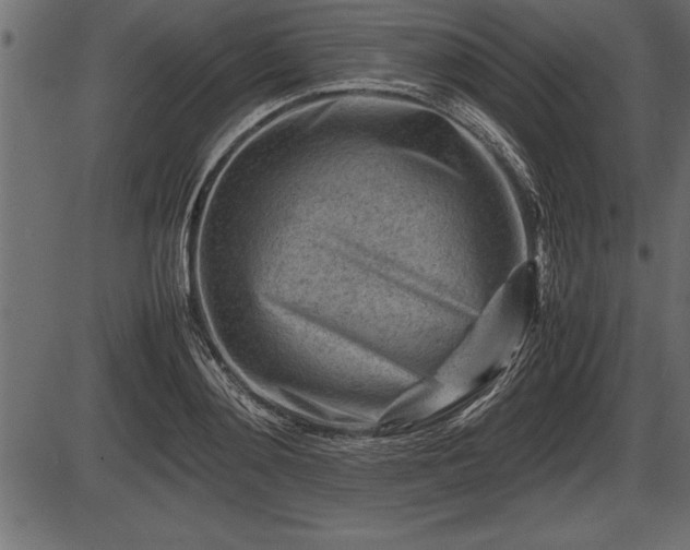 X0000086290892200704090952