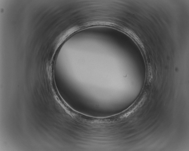 X0000086290898200704090952