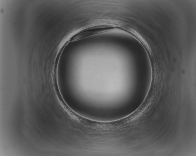 X0000086290901200704090952