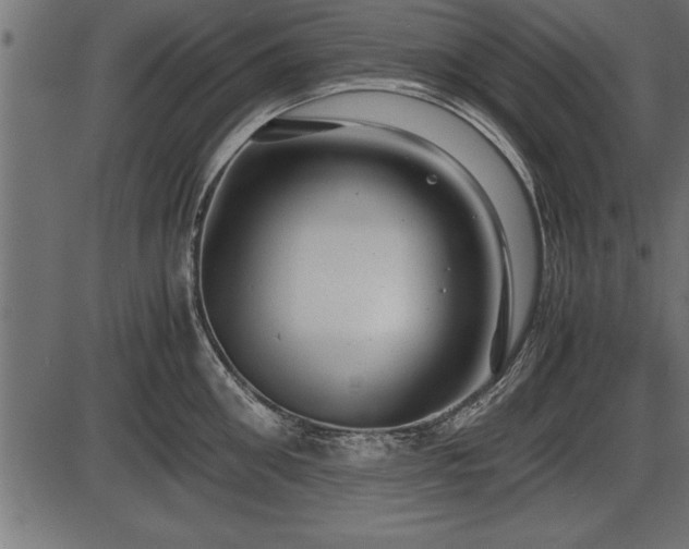 X0000086290906200704090952