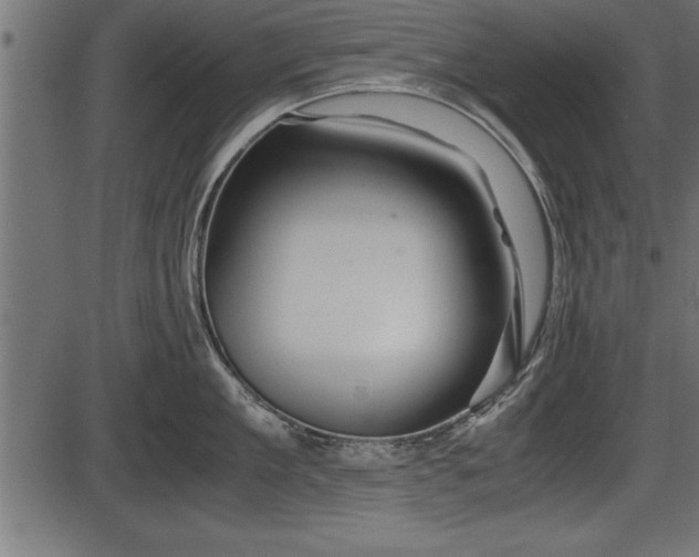 X0000086290909200704090952
