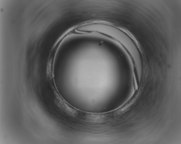 X0000086290910200704090952