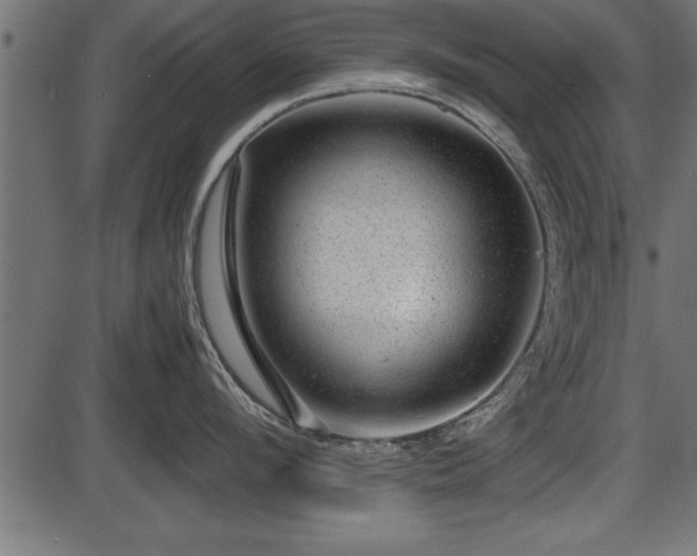 X0000086290912200704090952