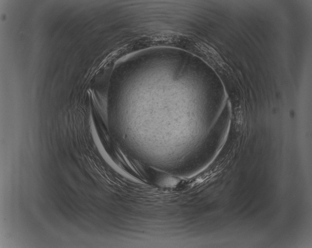 X0000086290916200704090951