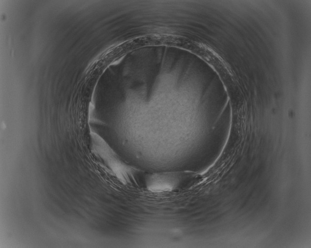 X0000086290919200704090951
