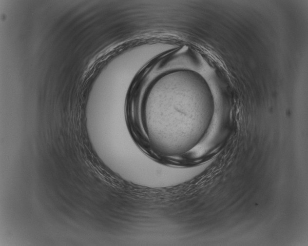 X0000086290920200704090951