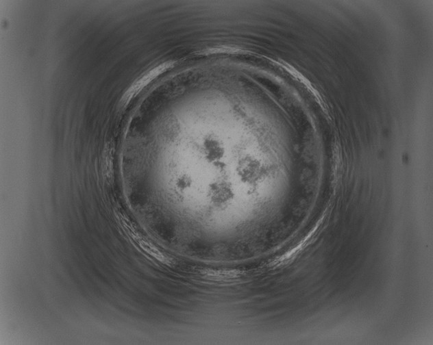 X0000086290921200704090951