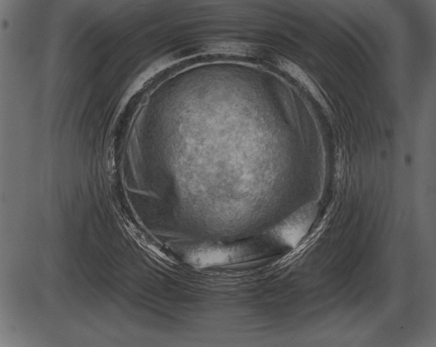 X0000086290923200704090951