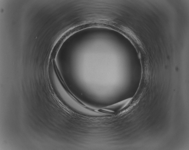 X0000086290924200704090952