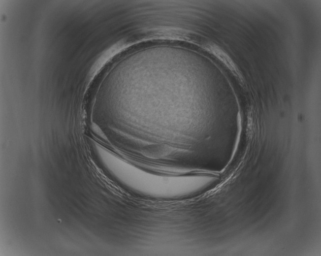 X0000086290926200704090952