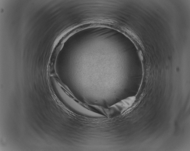 X0000086290928200704090952
