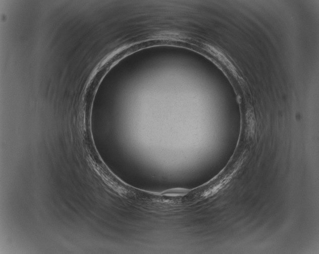 X0000086290931200704090952