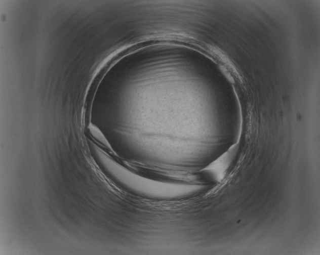 X0000086290932200704090952