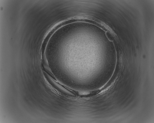 X0000086290934200704090952