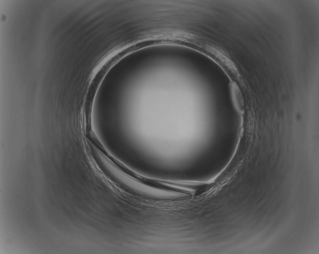 X0000086290936200704090952