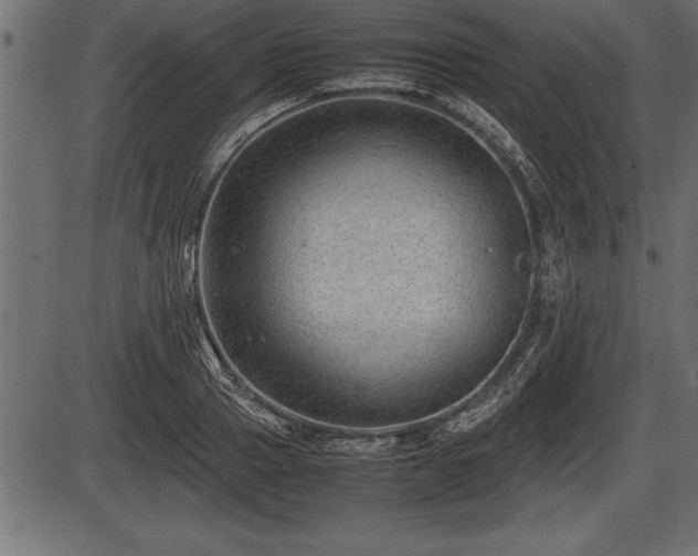 X0000086290937200704090952