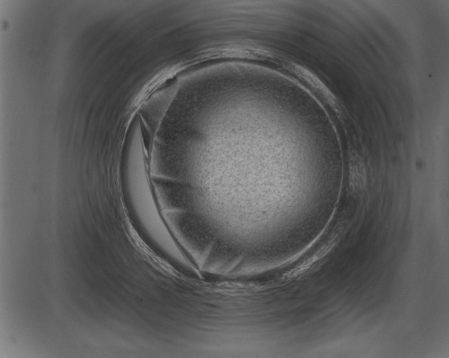 X0000086290938200704090952