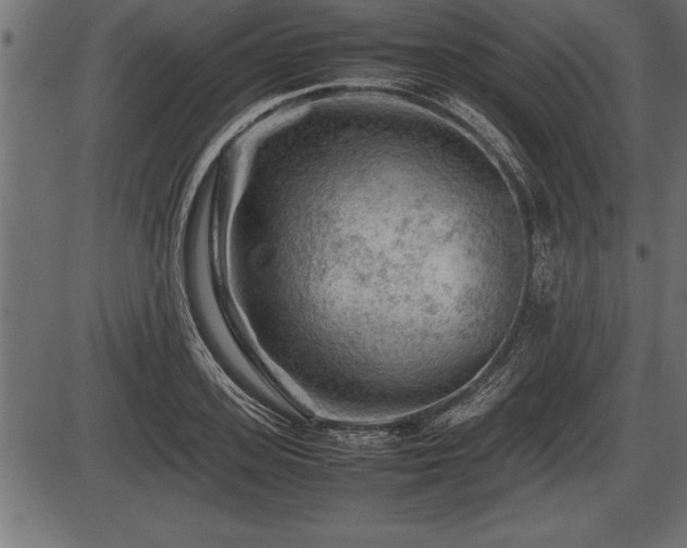 X0000086290939200704090952
