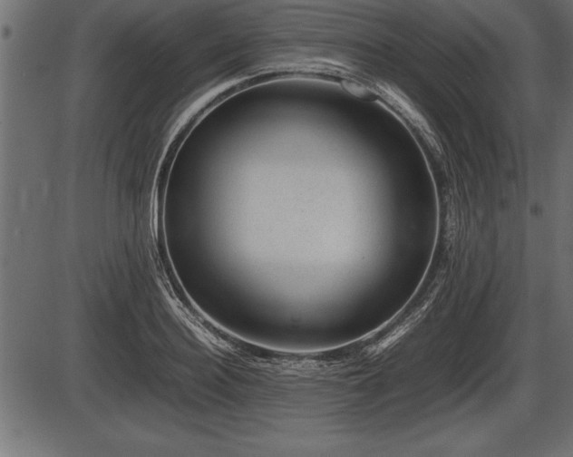 X0000086290940200704090952