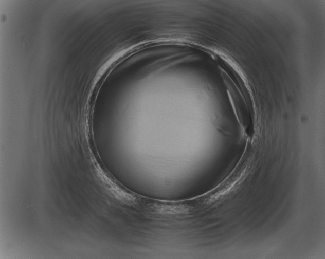 X0000086290941200704090952