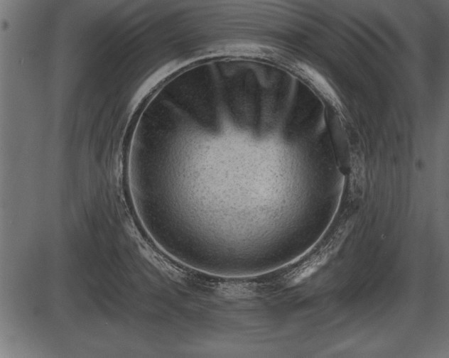 X0000086290944200704090952