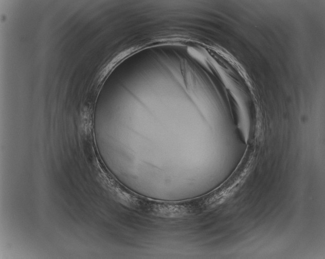 X0000086290945200704090952