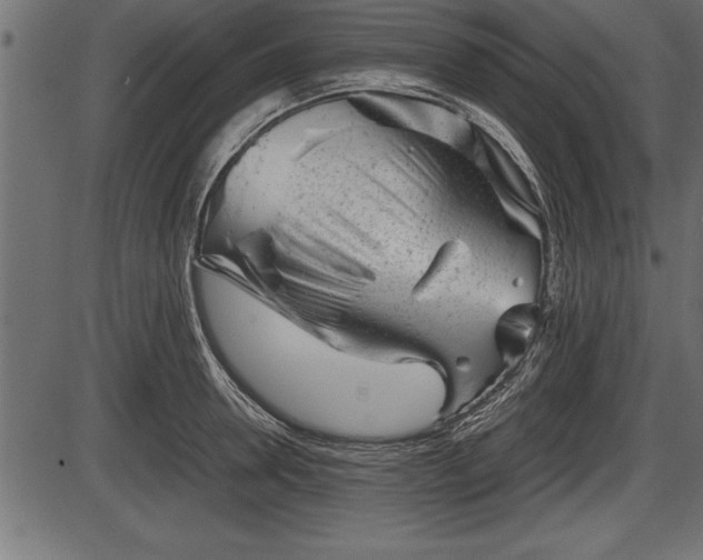 X0000086290946200704090952