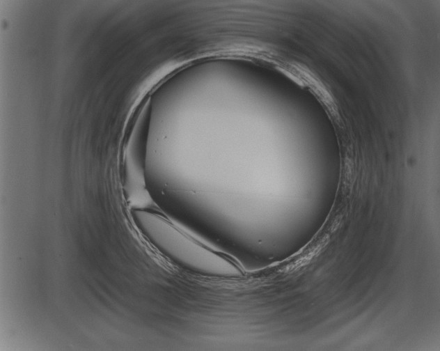 X0000086290948200704090952