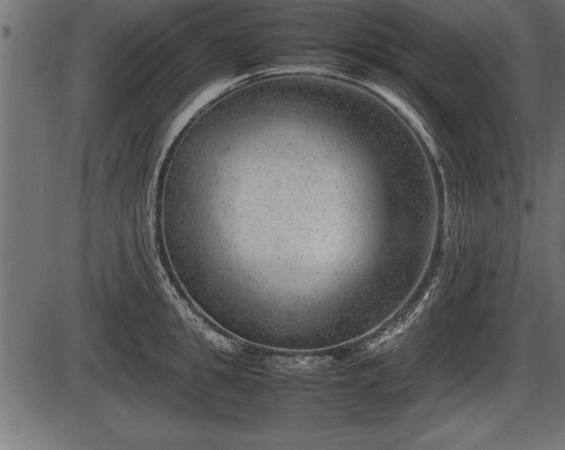 X0000086290949200704090952