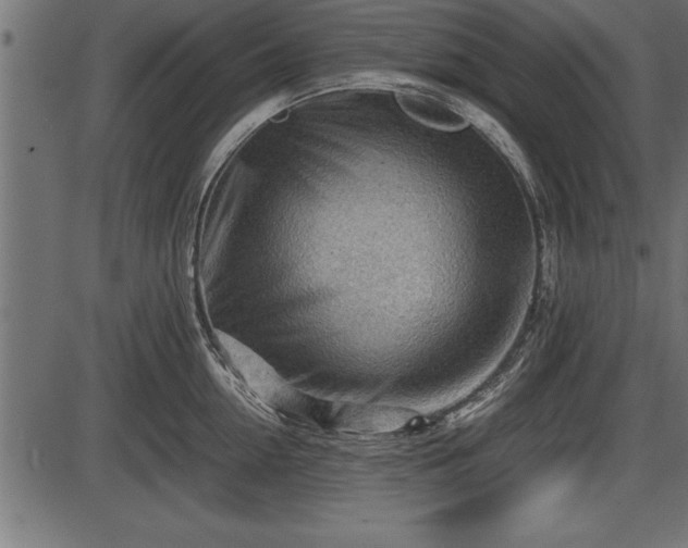 X0000086290954200704090952